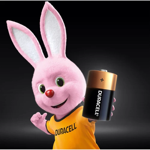 Батарейки Duracell Basic D алкалиновые 1.5V LR20 2шт. (5000394052512) фото 2