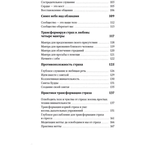 Тит Нат Хан: Бесстрашие. Мудрість, яка дозволить вам пережити бурю фото 10
