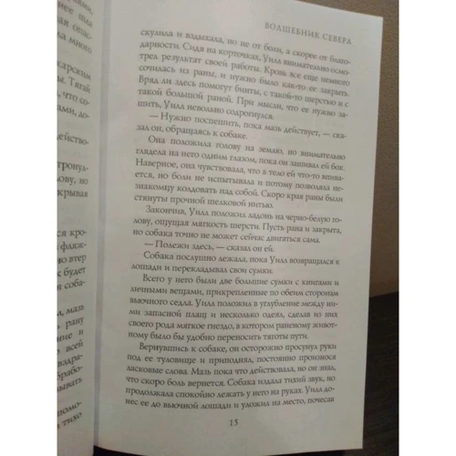 Джон Фланаган: Чарівник Півночі: Виробник Рипол Класик
