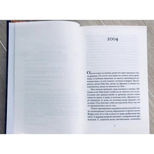 Емілі Расковіч: Айдахо: Кількість сторінок 384