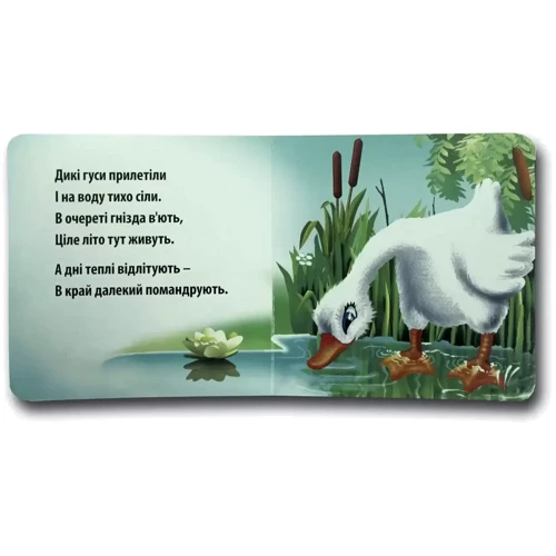 Ганна Чубач: Книжка-картонка. Свійські та дикі: Виробник Книжкова Хата