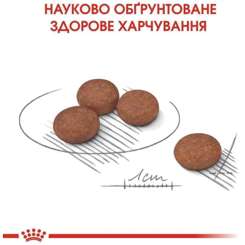 Сухой корм Royal Canin Mini Digestive Care Adult для собак малых пород c чувствительным пищеварением 3 кг (2447030) фото 8