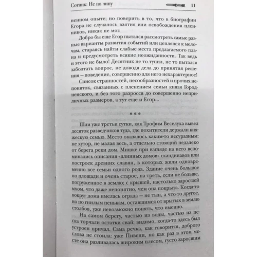 Сотник. Не по чину: Количество страниц 416