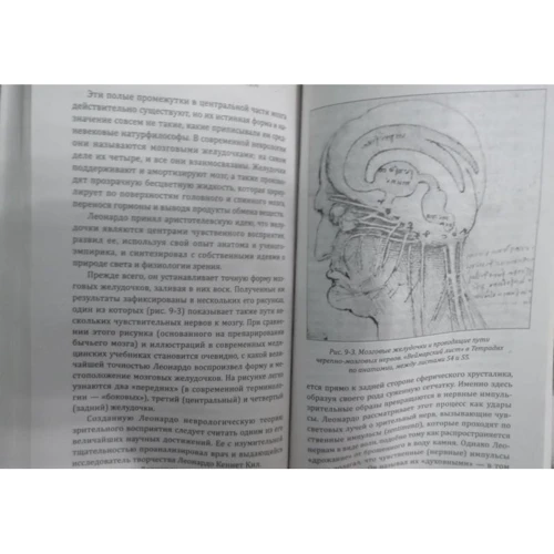 Фритьоф Капра: Наука Леонардо. Мир глазами великого гения: Обложка Мягкая