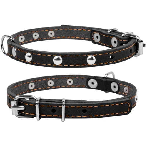 Ошейник Collar одинарный с украшением (ш 12мм, д 24-32см) черный