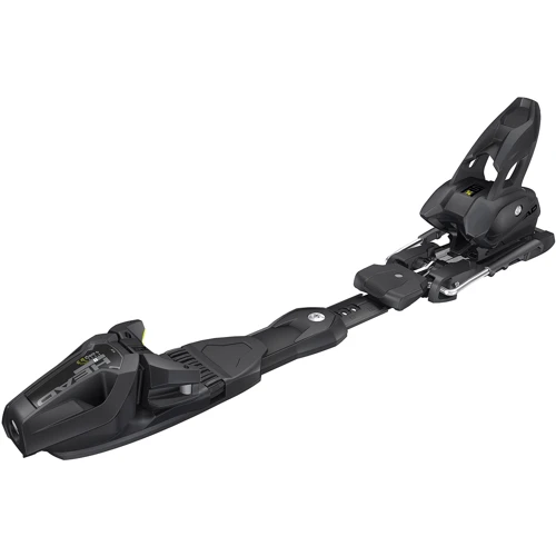 Лыжи HEAD WC Rebels e-SL SW RP EVO 14 wh/bk + FREEFLEX 14 BR.85[D] 170 (2021): Тип горные лыжи