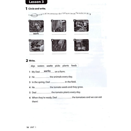 Wonderful World 2nd Edition 2: Workbook: ISBN 9781473760622