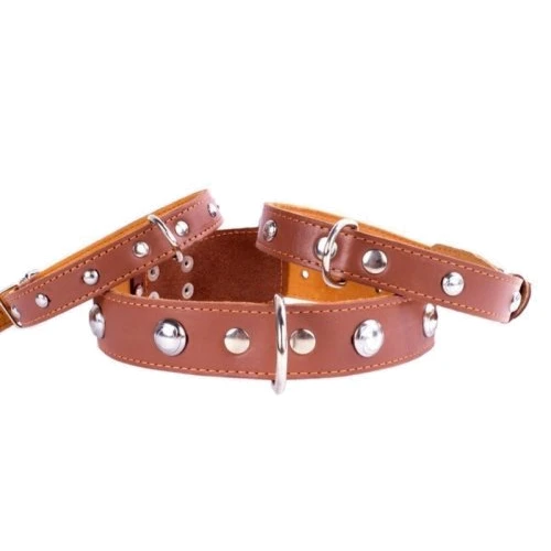 Ошейник Collar двойной с украшением (ш 14мм, д 27-35см) коричневый