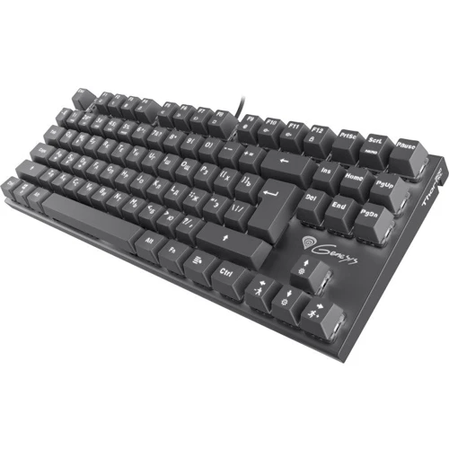 Клавиатура Genesis Thor 300 TKL (NKG-1826): Интерфейс подключения USB