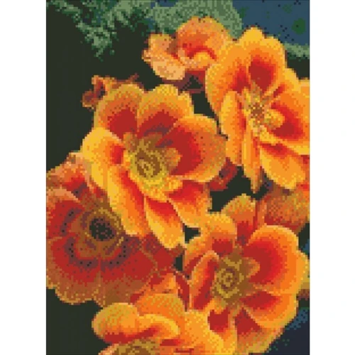 Алмазная вышивка Идейка Примула оранжевая 30x40см (АМ 6103)