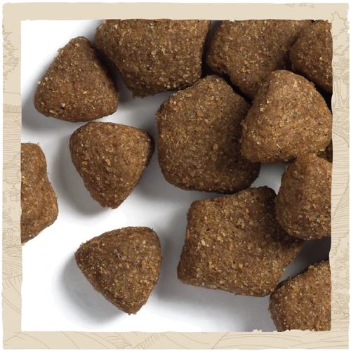 Сухой корм Dog Chow Adult 1+ для взрослых собак с ягненком 2.5кг (12493231): Возраст Взрослые