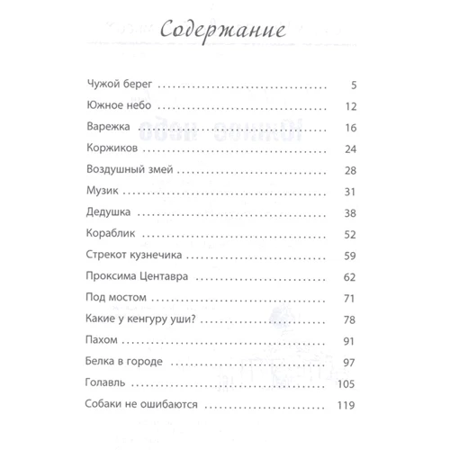 Сергій Георгієв: Південне небо: Обкладинка Твердая