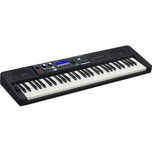 Синтезатор CASIO CT-S500C7: Тип Профессиональные