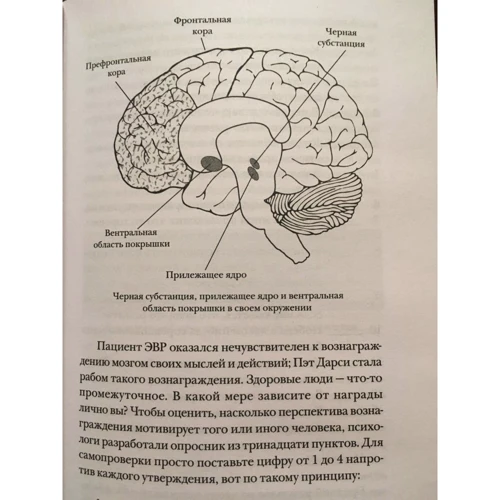 Леонард Млодінов: Еластичність. Гнучке мислення в епоху змін: Автор Леонард Млодінов