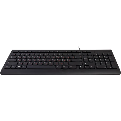 Клавиатура Lenovo 300 USB Keyboard Ru (GX30M39684): Подключение проводное