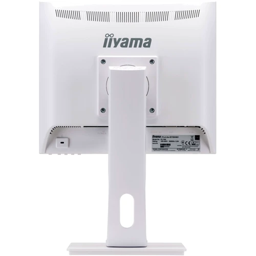 Монитор iiyama B1780SD-W1: Разъемы DVI, VGA