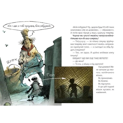 Антьє Ціллат: Флечер - діло, что смерділо: Обкладинка Тверда