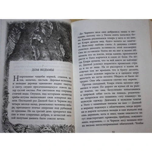 Відчайдушний. Книга 1. Камінь у плоті: Автор Корнелія Функе
