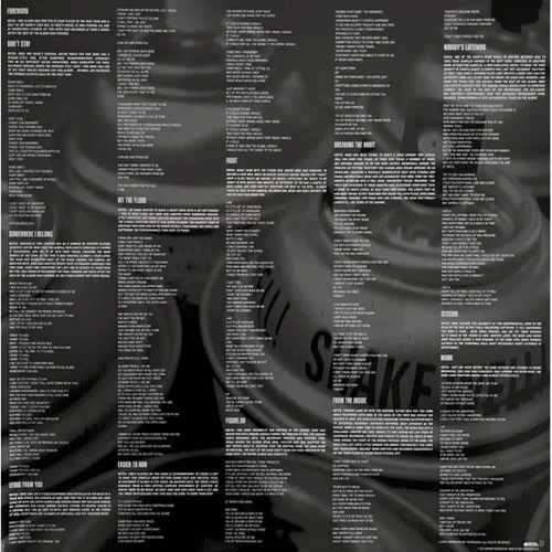 LP I-DI Linkin Park: Meteora (LP0147) фото 6