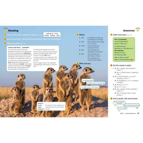 Look 3: Student's Book: Производитель National Geographic Learning