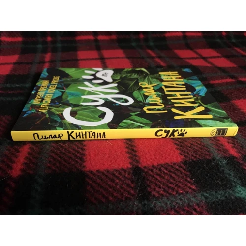 Пілар Кінтана: Сука: Виробник Popcorn Books