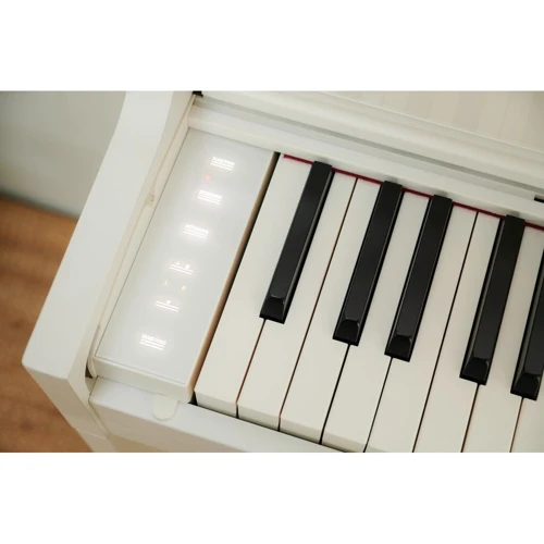 Цифровое пианино CASIO AP-S450WE: Количество клавиш 88 (7.5 октав)