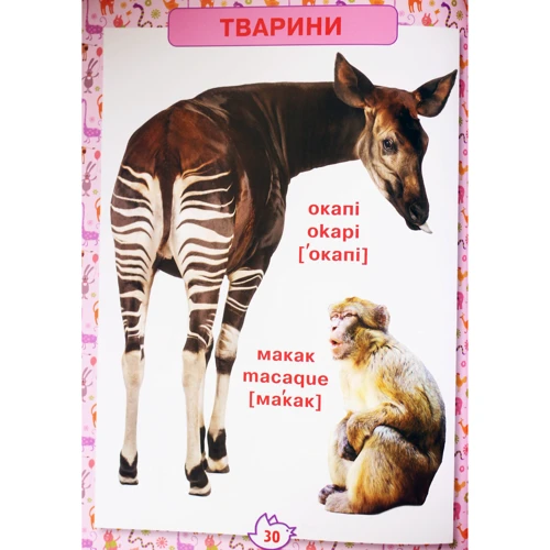 Перша енциклопедія тварин для малюків. Від 8 місяців до 5 років: Количество страниц 128