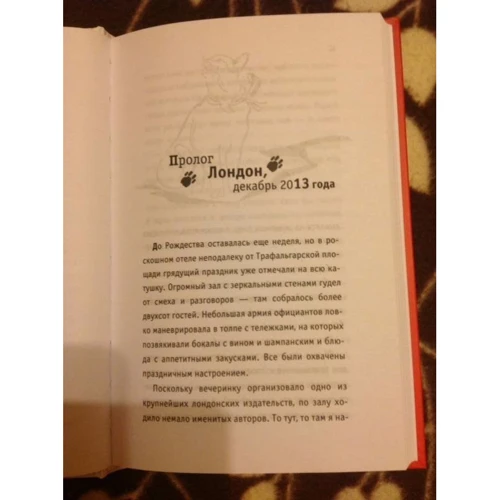 Джеймс Боуэн: Подарок от кота Боба фото 8