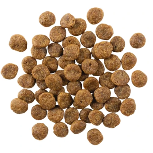 Сухой беззерновой корм для щенков и взрослых собак GO! Sensitivities Limited Ingredient Salmon Recipe Dog Formula - Гоу! c лососем 1.6 кг (815260005814): Тип Сухой корм
