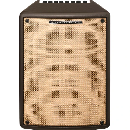 Гитарный комбоусилитель IBANEZ T80II