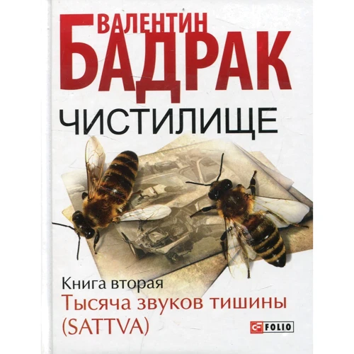 Валентин Бадрак: Чистилище. Книга 2. Тысяча звуков тишины