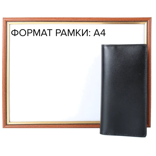 Мужской тревел-кейс DNK Leather черный (DNK-PURSE-col-J): Тип Тревел кейсы