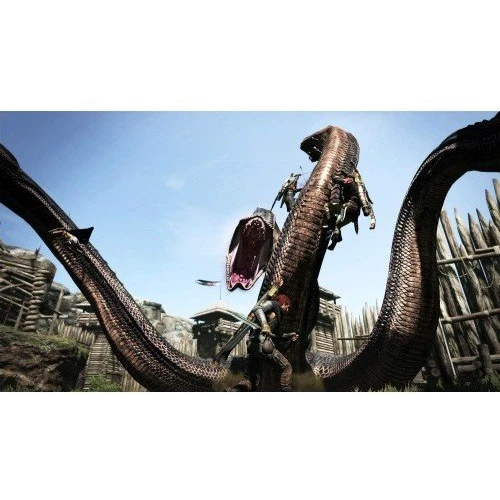 Dragons Dogma Dark Arisen (Nintendo Switch) фото 4