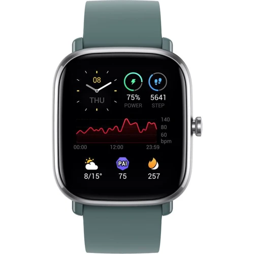 Смарт-часы Amazfit GTS 2 mini Sage Green