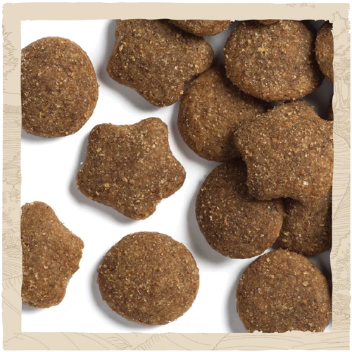 Сухий корм Dog Chow Puppy Large Breed для щенят великих порід з індичкою 14кг (12362420): Властивості Основное питание, Поддержка физической формы, Забота о развитии плода
