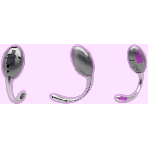 Виброяйцо зі стимулятором клітора Adrien Lastic Smart Dream II з пультом LRS