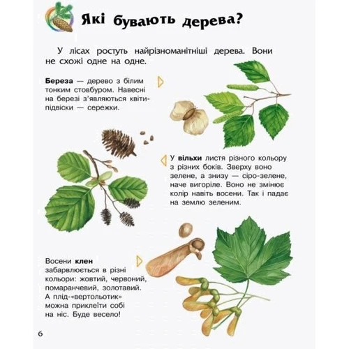 Енциклопедія дошкільника. Ліс: Производитель Ранок