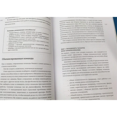 Ян Мульфейт, Меліна Кістки: Надихаючий лідер. Команда. Смисли. енергія: Автор Меліна Кістки, Ян Мульфейт