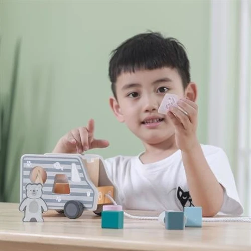 Деревянный сортер-каталка Viga Toys PolarB Грузовичок (44041)