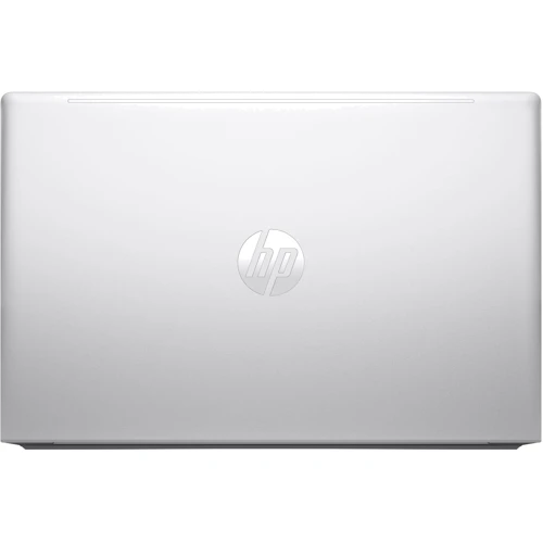 Ноутбук HP ProBook 450 G10 (85C54EA): Оперативная память 16 ГБ