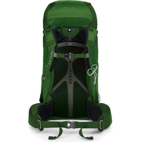 Рюкзак туристический Osprey Kestrel 38 Jungle Green S/M						: Производитель Osprey