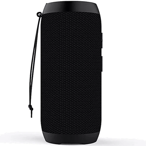 Акустика Hopestar P20 Black: Тип портативна
