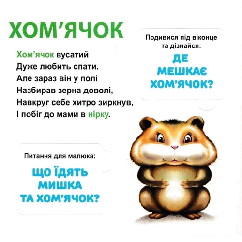 Ганна Чубач: Мої перші слова. Хто де живе? 33 віконця: Кількість сторінок 22