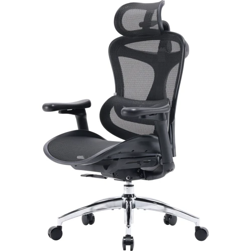 Офисное кресло Sihoo DORO C300L Mesh Black (DORO-C300L-A3-101)