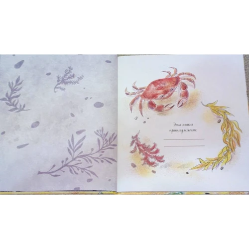 Никола Дэвис: Красивая книга о море: Производитель Манн, Иванов и Фербер