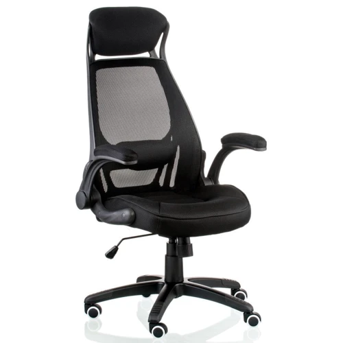Special4You Briz 2 black (E4961): Оснащение поясничный валик, подлокотники, подголовник, механизм качания, с крестовиной