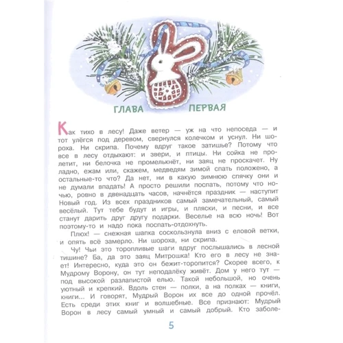 Софья Прокофьева, Ирина Токмакова: Подарок для Снегурочки: Обложка Твердая