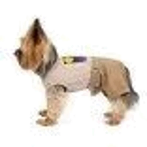 Костюм Pet Fashion Moon S (4823082424863): Тип Костюмы