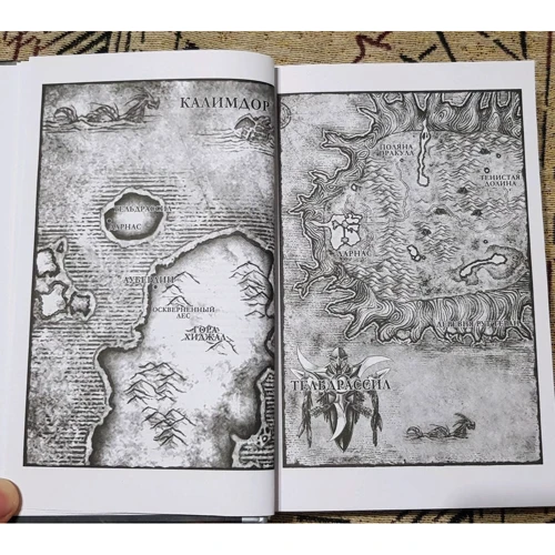 Ричард Кнаак: World of Warcraft. Ярость Бури: Количество страниц 576