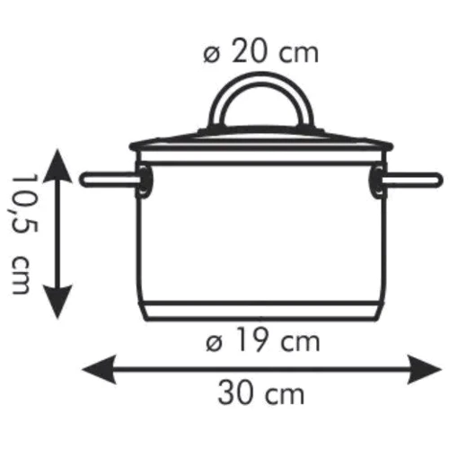 Кастрюля Tescoma Vision 20 см 3 л (779220): Объем, л 3